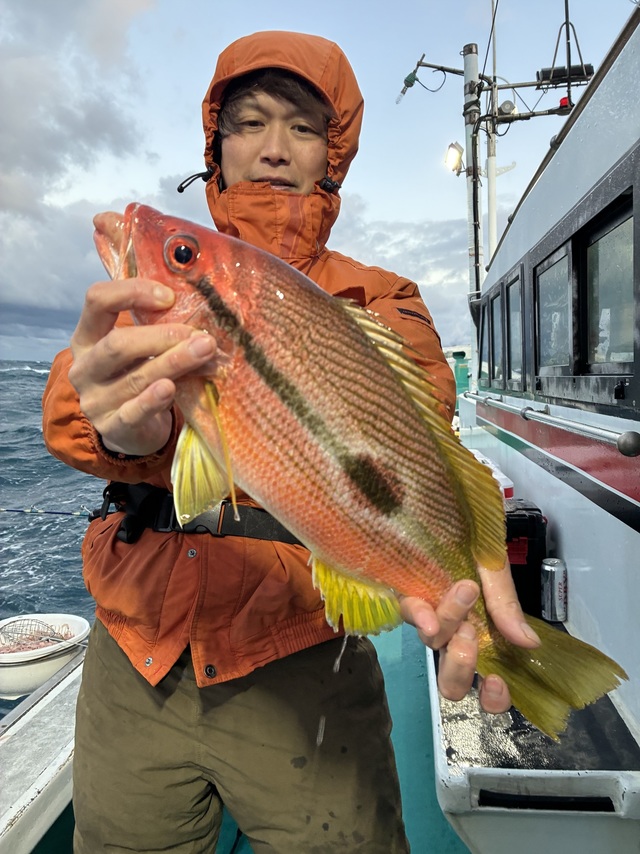 ヨコスジフエダイ