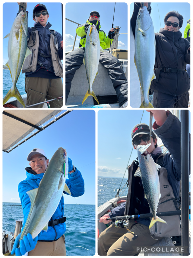 メジロ(ブリ)・マサバ