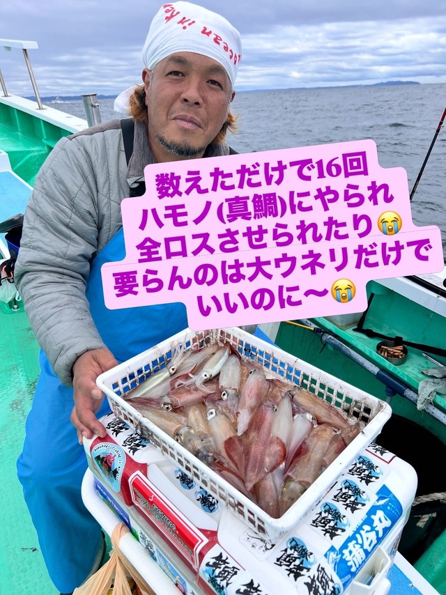 マルイカ(ケンサキイカ)