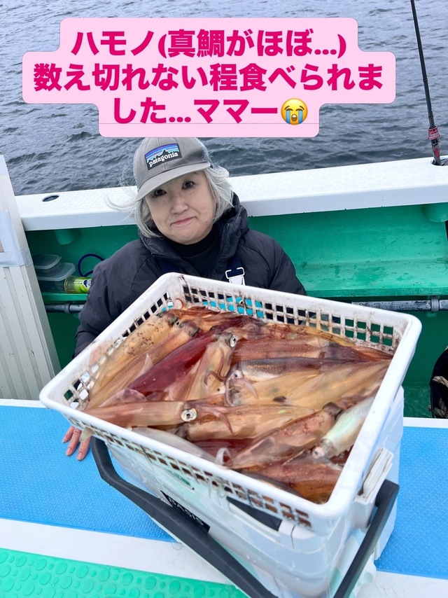 マルイカ(ケンサキイカ)