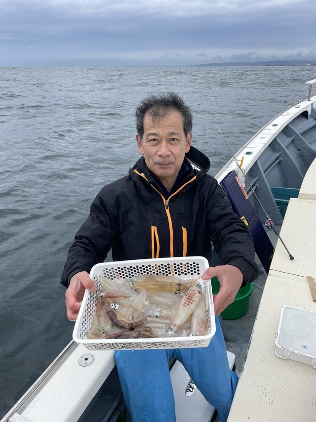 マルイカ(ケンサキイカ)