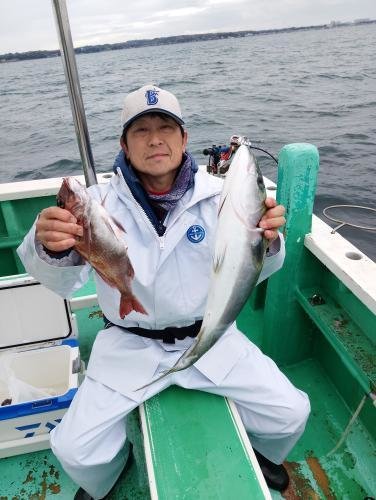 マダイ・ワラサ(ブリ)