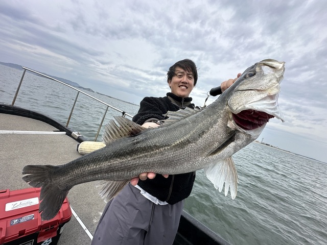 シーバス(スズキ)