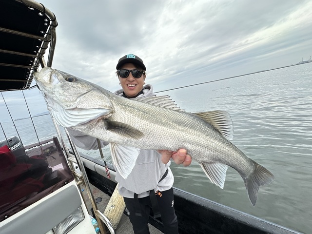 シーバス(スズキ)