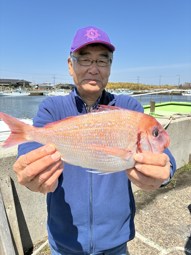 ハナダイ(チダイ)