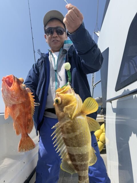 アオハタ・カサゴ