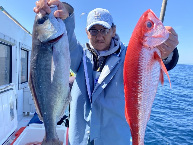 メダイ・オナガダイ(ハマダイ)