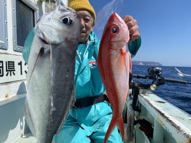 メダイ・オナガダイ(ハマダイ)