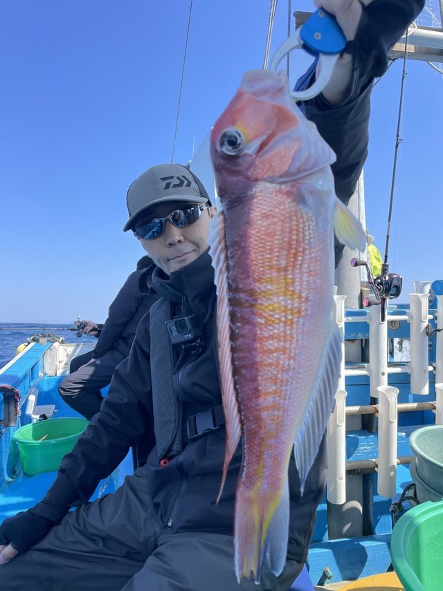 アマダイ(アカアマダイ)