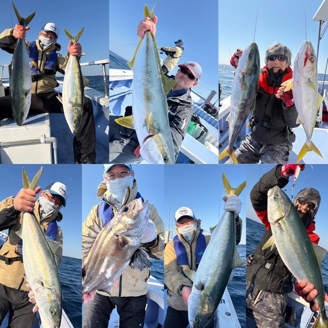 ワラサ(ブリ)・ヒラマサ