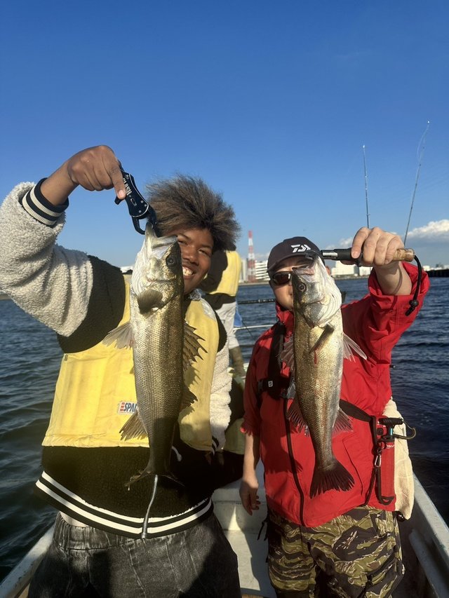 シーバス(スズキ)