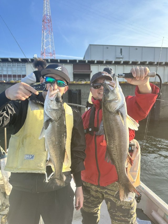 シーバス(スズキ)