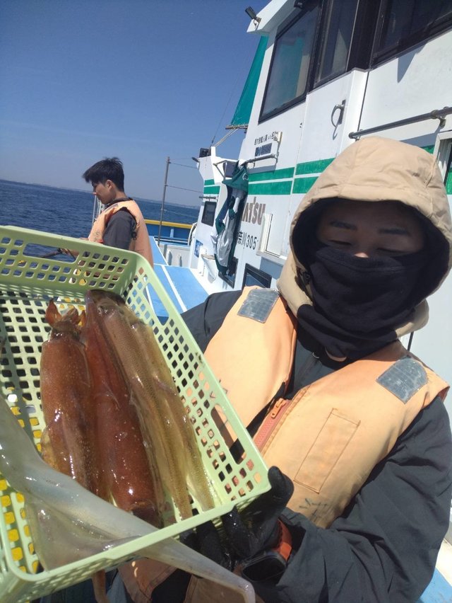 ムギイカ(スルメイカ)