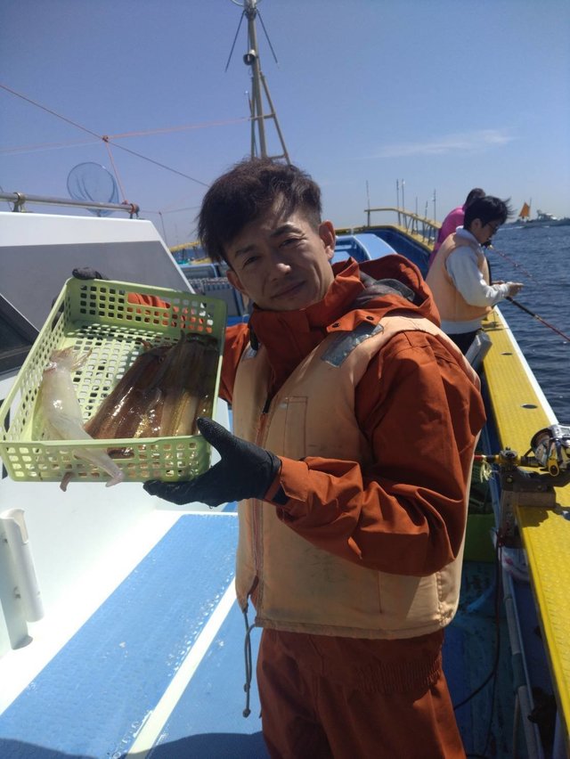 ムギイカ(スルメイカ)