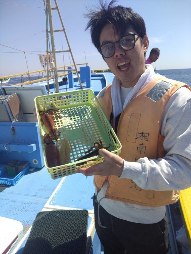 ムギイカ(スルメイカ)