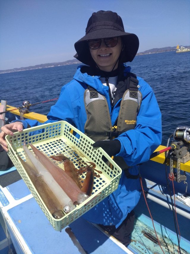 ムギイカ(スルメイカ)