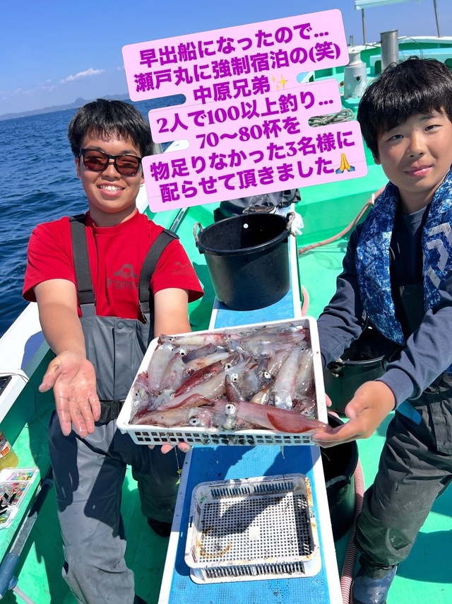 マルイカ(ケンサキイカ)