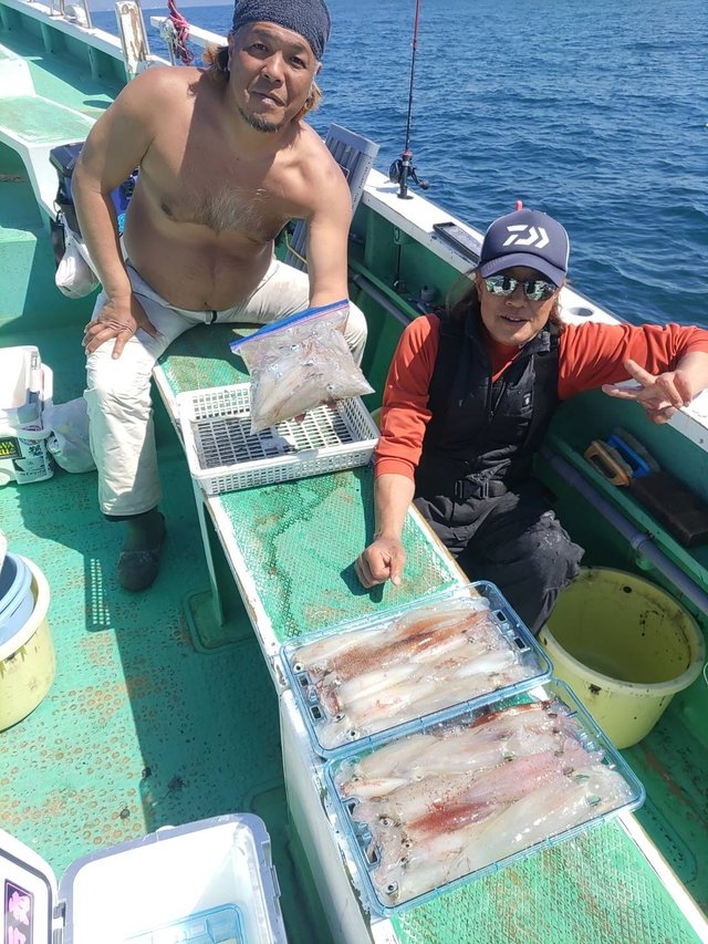 マルイカ(ケンサキイカ)