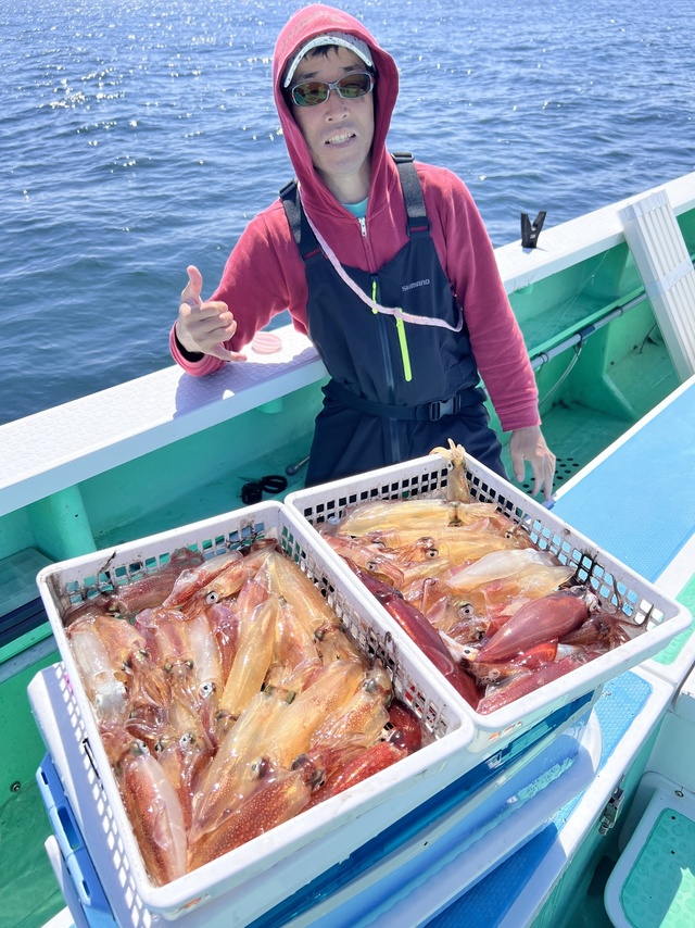 マルイカ(ケンサキイカ)