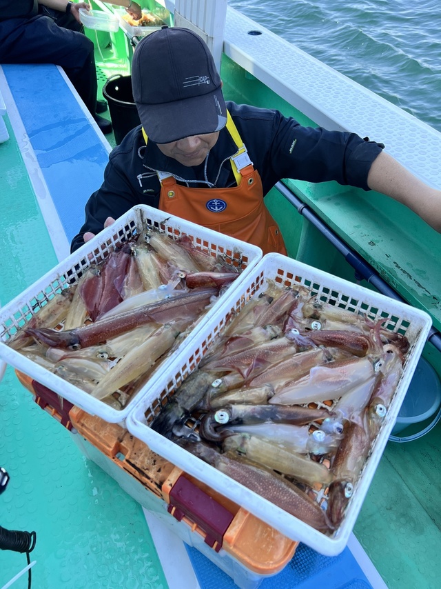 マルイカ(ケンサキイカ)