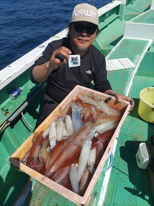 マルイカ(ケンサキイカ)