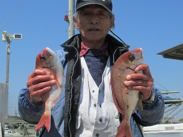 ハナダイ(チダイ)