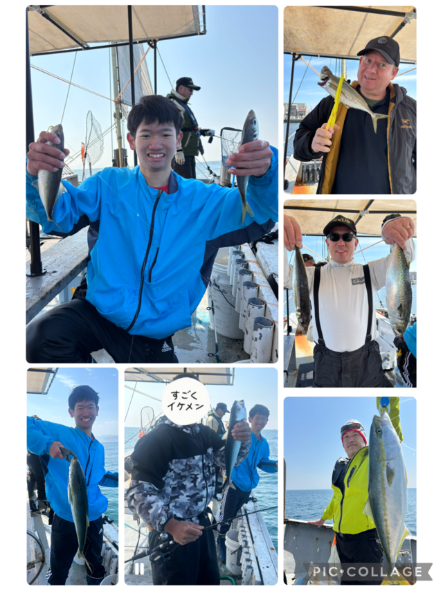 アジ(マアジ)・メジロ(ブリ)・マサバ