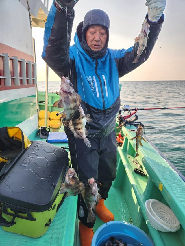 クロメバル(メバル)