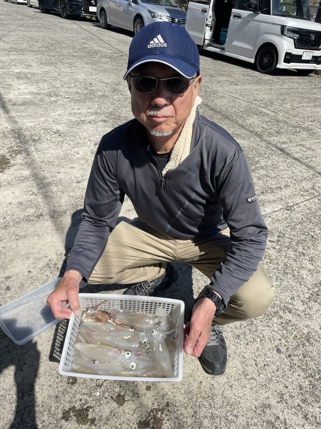 マルイカ(ケンサキイカ)