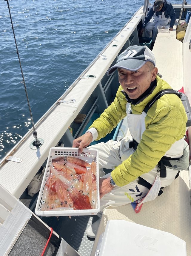 マルイカ(ケンサキイカ)