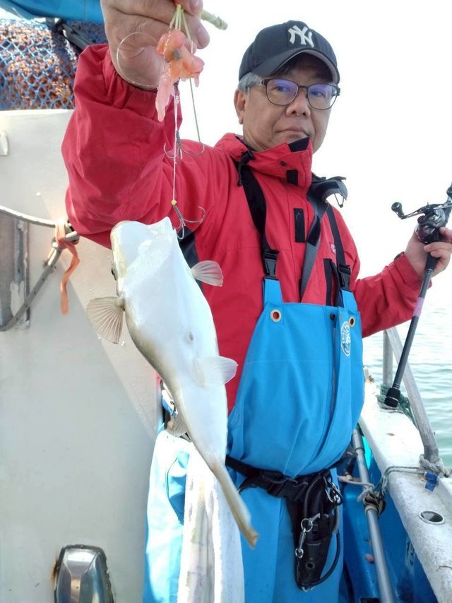 ショウサイフグ