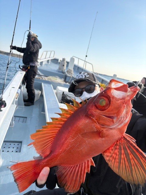 キントキ(チカメキントキ)