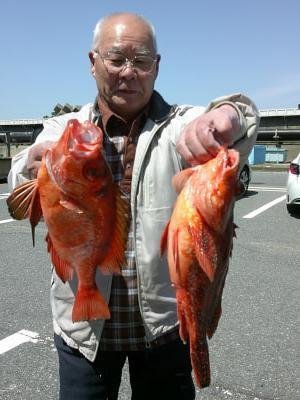 キントキ(チカメキントキ)・カサゴ