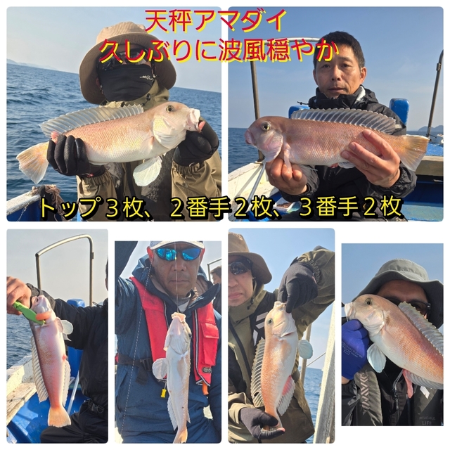 シロアマダイ