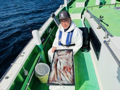 マルイカ(ケンサキイカ)