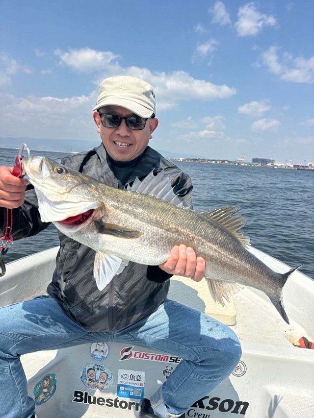 シーバス(スズキ)