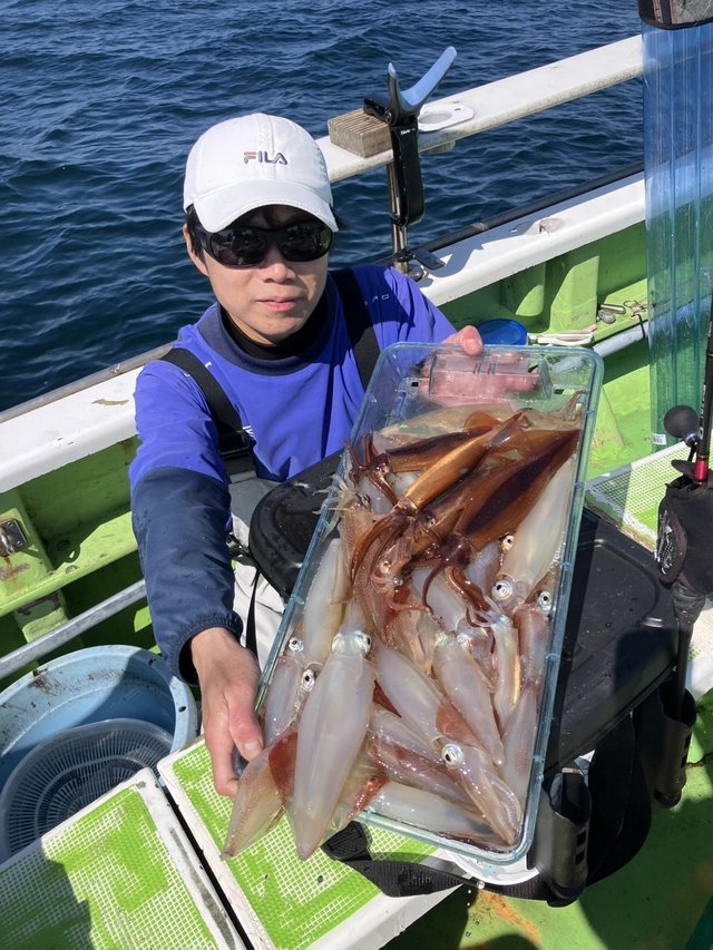 マルイカ(ケンサキイカ)