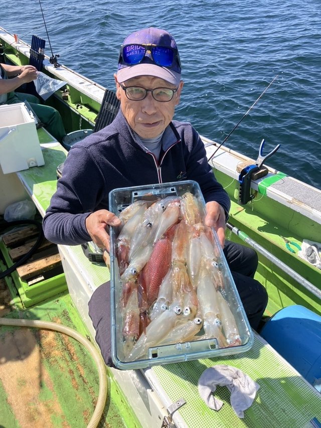 マルイカ(ケンサキイカ)