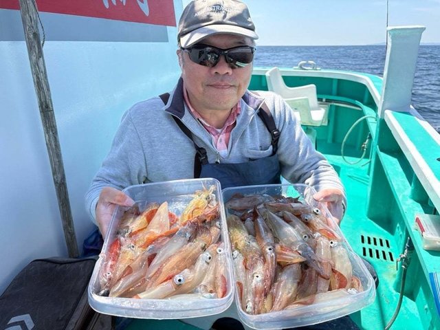 マルイカ(ケンサキイカ)