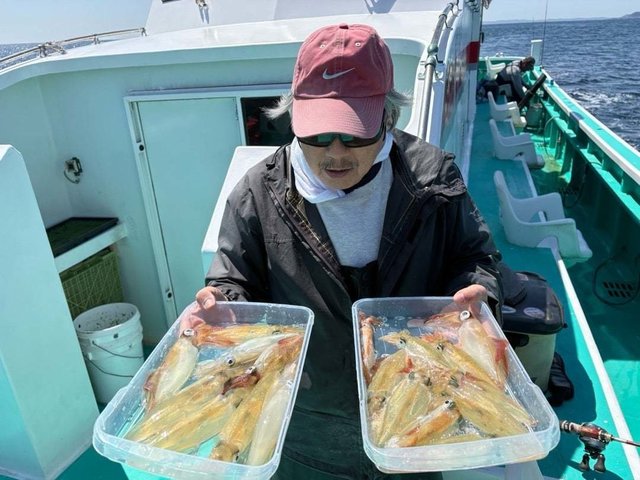 マルイカ(ケンサキイカ)