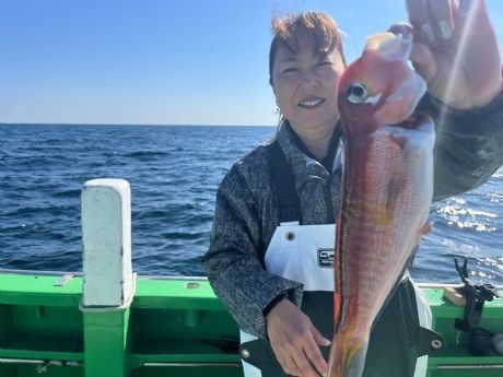 アマダイ(アカアマダイ)