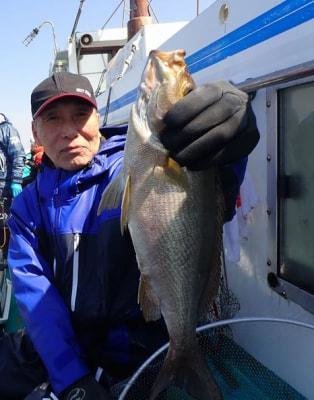 イサギ(イサキ)