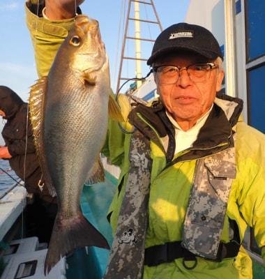 イサギ(イサキ)