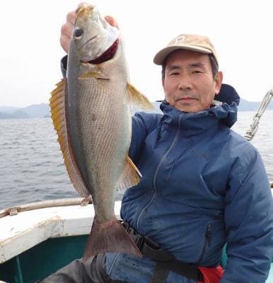 イサギ(イサキ)