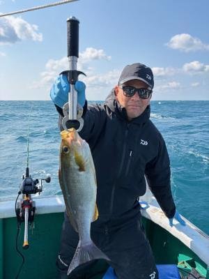 イサギ(イサキ)