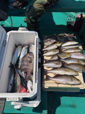 イサギ(イサキ)・サバ(ゴマサバ)