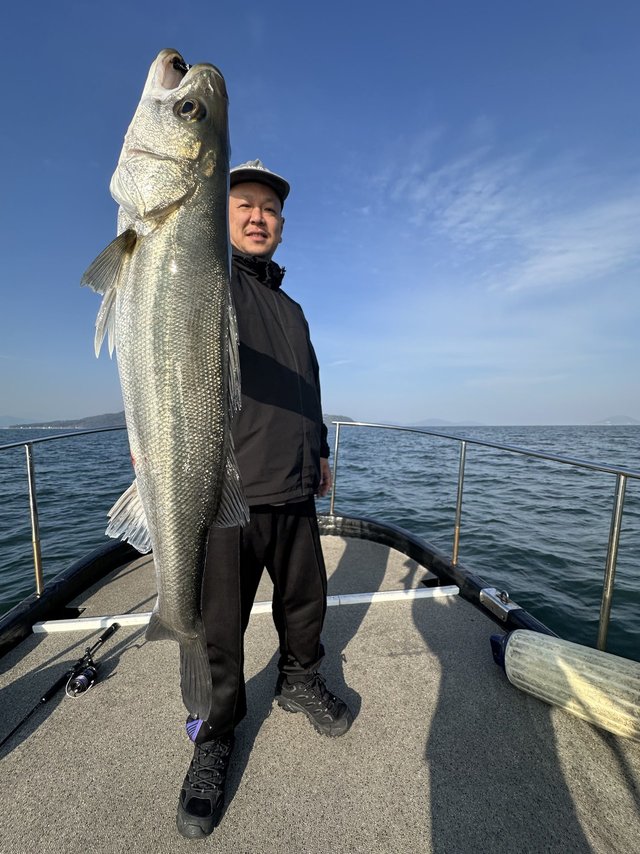 シーバス(スズキ)