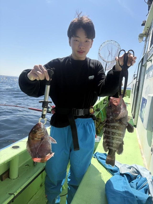 マダイ・ハタ(マハタ)