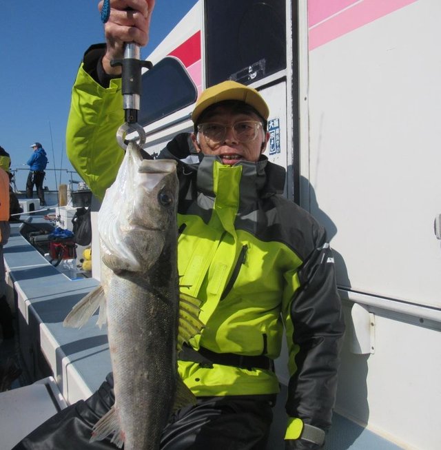 シーバス(スズキ)