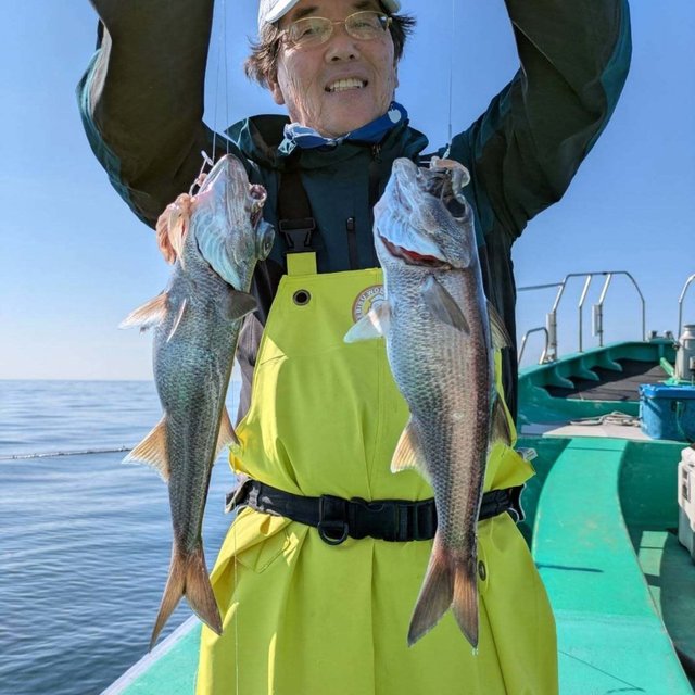 ムツ(クロムツ)